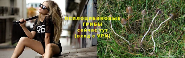 хмурый Зеленокумск