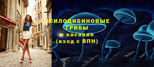 хмурый Зеленокумск