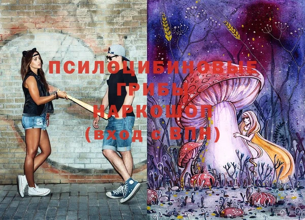 хмурый Зеленокумск
