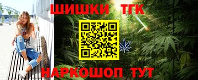 a pvp Камышлов
