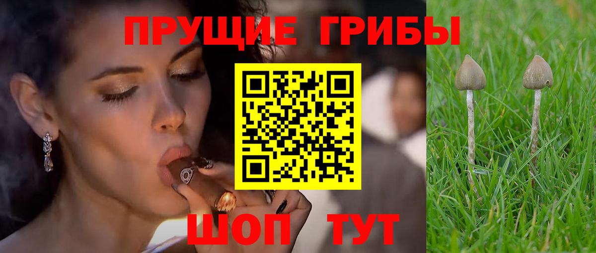 Псилоцибиновые грибы мухоморы  Вход с VPN  Псилоцибиновые грибы GOLDEN TEACHER  Канск 